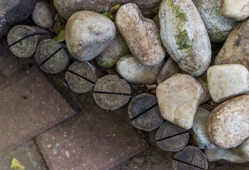 Aamiaismajoitus (B&B) Kingfisher Guesthouse