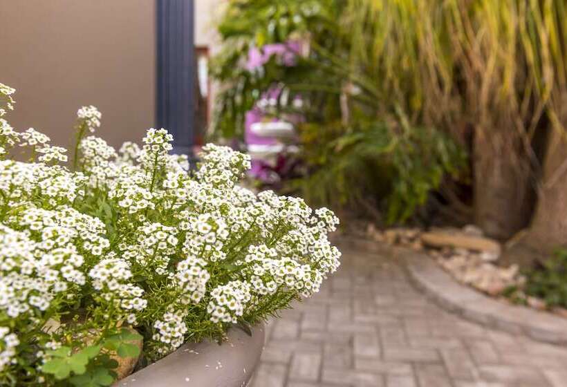 Aamiaismajoitus (B&B) Kingfisher Guesthouse