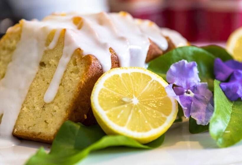 Aamiaismajoitus (B&B) Kingfisher Guesthouse