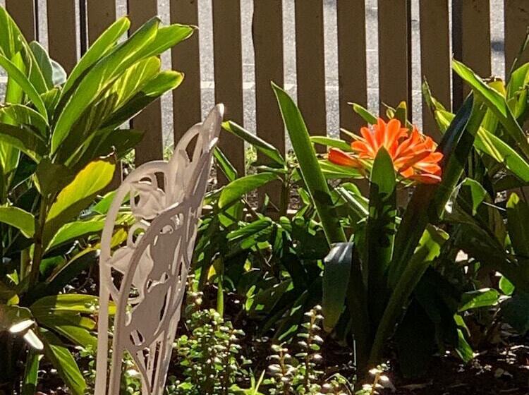 פנסיון Burwood Bed And Breakfast