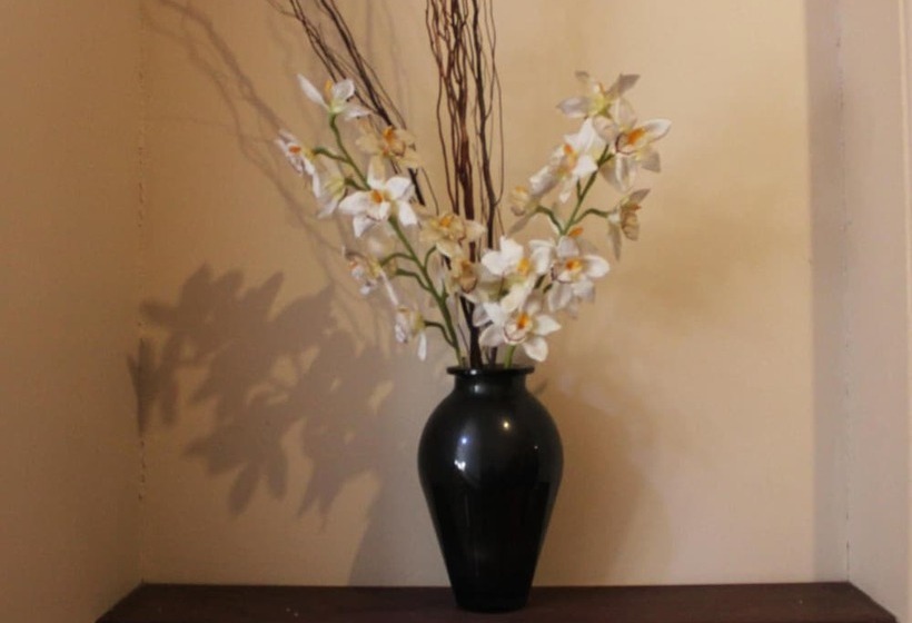 פנסיון Burwood Bed And Breakfast