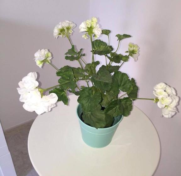 پانسیون Affittacamere Le Scale