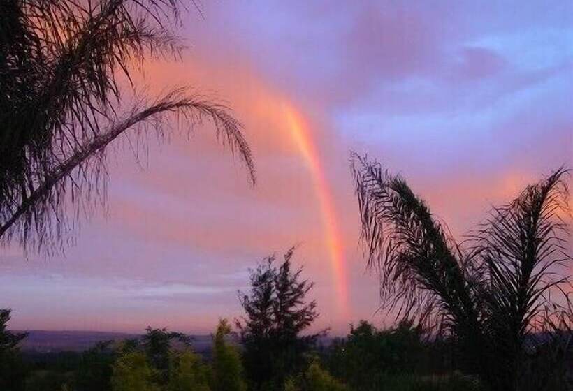 פנסיון Palm Tree Manor