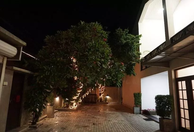 The Villa In Lavinia