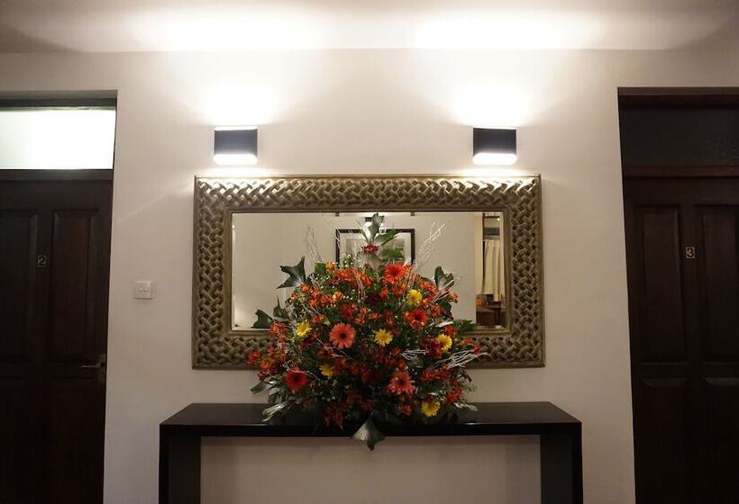 The Villa In Lavinia