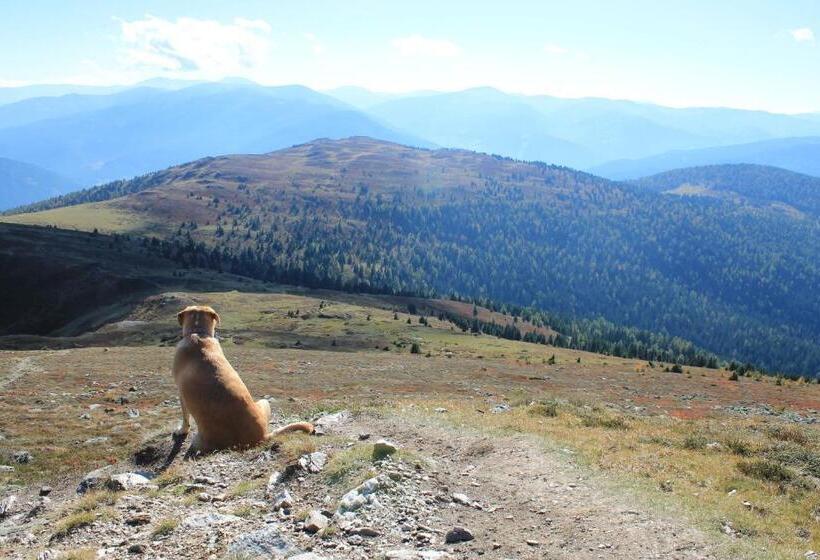 住宿加早餐  Gästehaus Moser