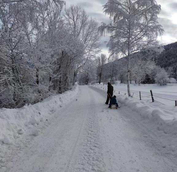 住宿加早餐  Gästehaus Moser