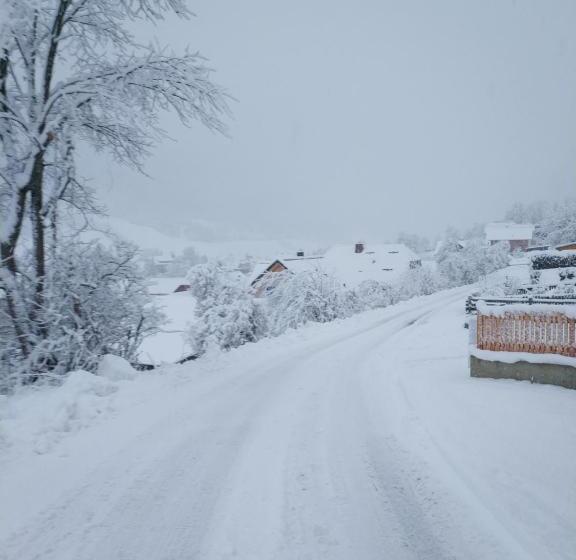 住宿加早餐  Gästehaus Moser