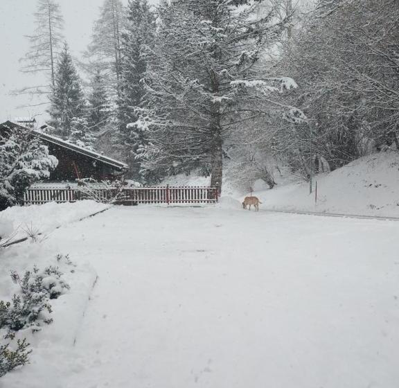 住宿加早餐  Gästehaus Moser