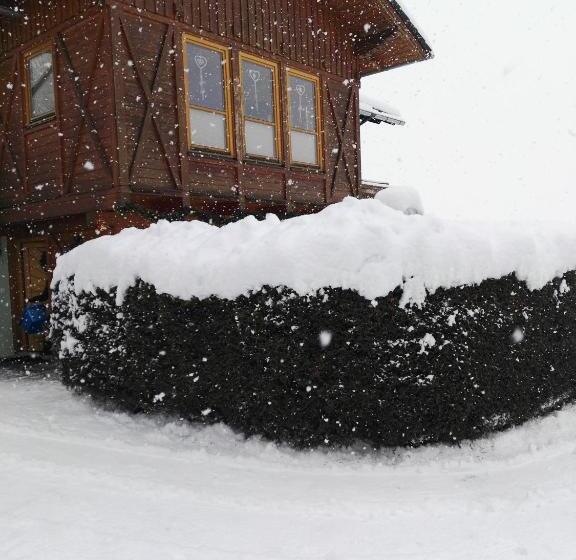 住宿加早餐  Gästehaus Moser