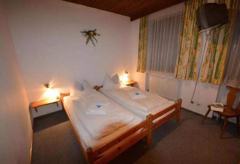 تختخواب و صبحانه Haus Alpina By Châtel Reizen