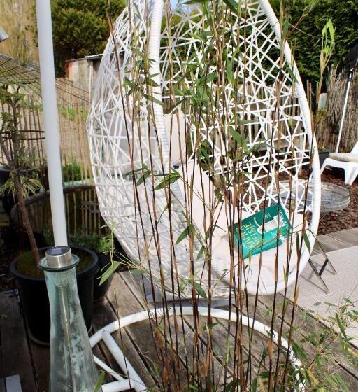 مبيت وإفطار Art Hill