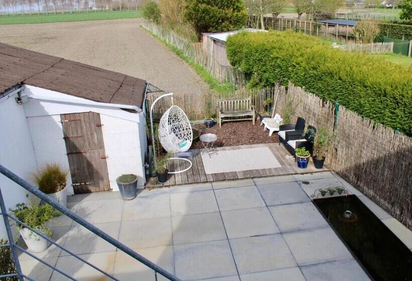 مبيت وإفطار Art Hill