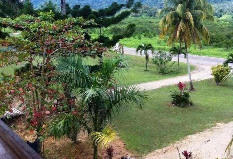 ホテル Davis Falls Inn