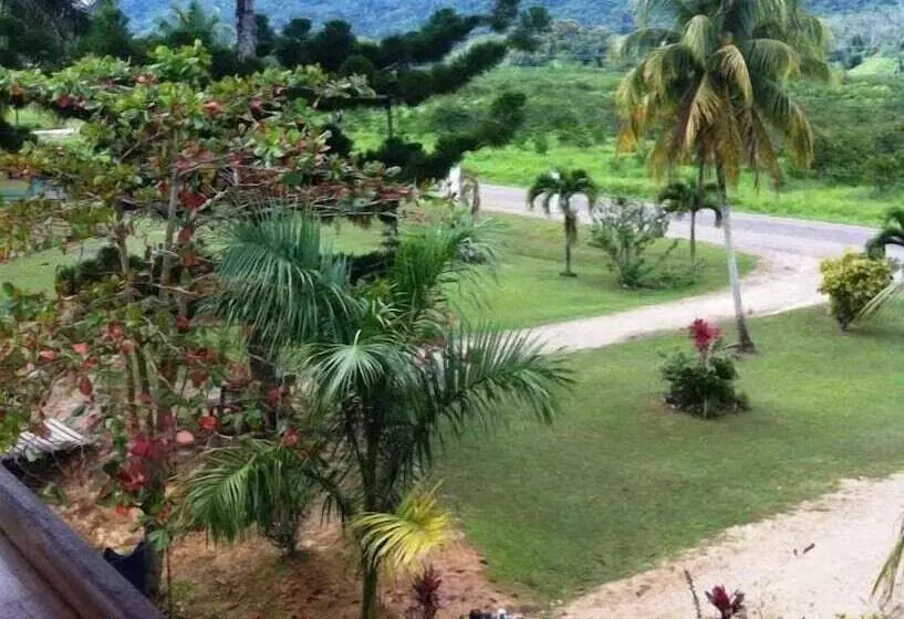 ホテル Davis Falls Inn