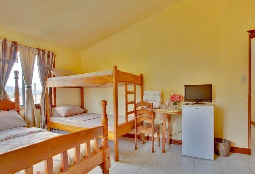 ホテル Davis Falls Inn