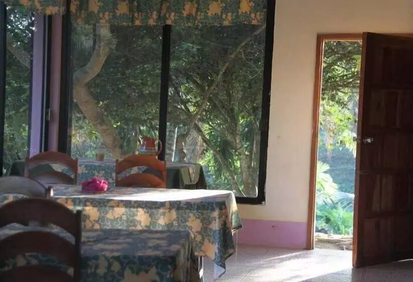 ホテル Davis Falls Inn