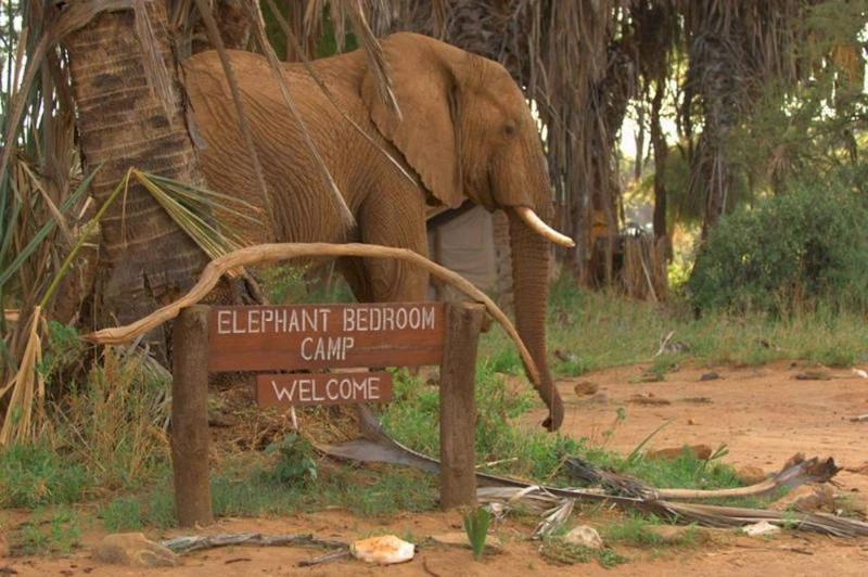 هتل Elephant Bedroom Camp