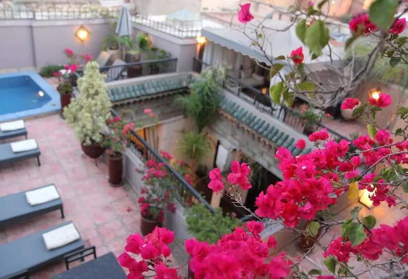 هتل Riad Terra Bahia