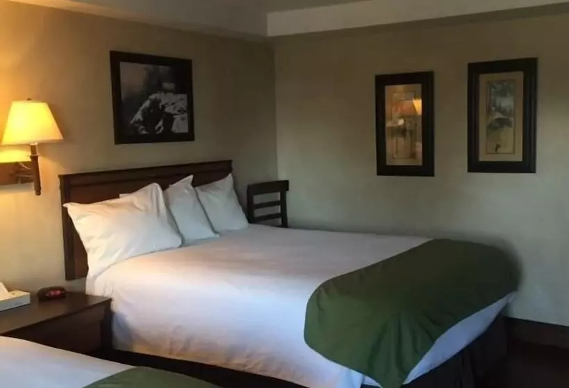 モーテル Backcountry Inn