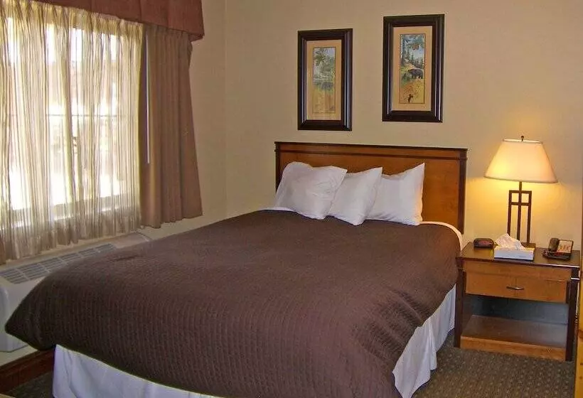 モーテル Backcountry Inn
