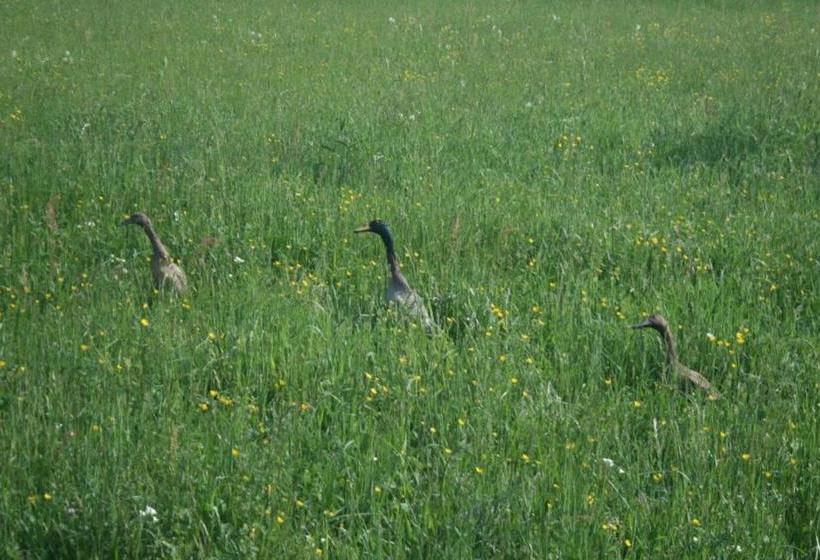 مبيت وإفطار Gästehaus Egger