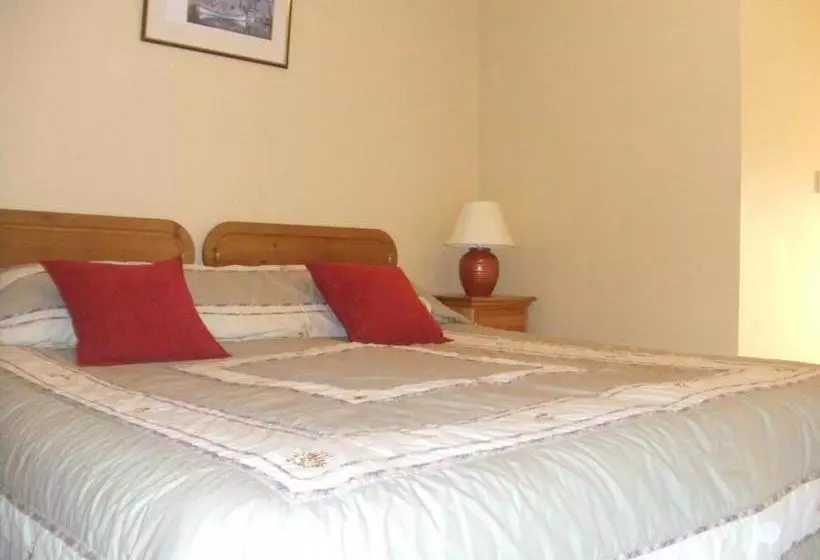 ベッドアンドブレックファースト O'briens Cashel Lodge