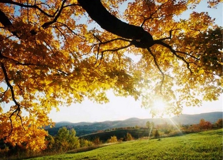 مبيت وإفطار Old Church House Kenmare