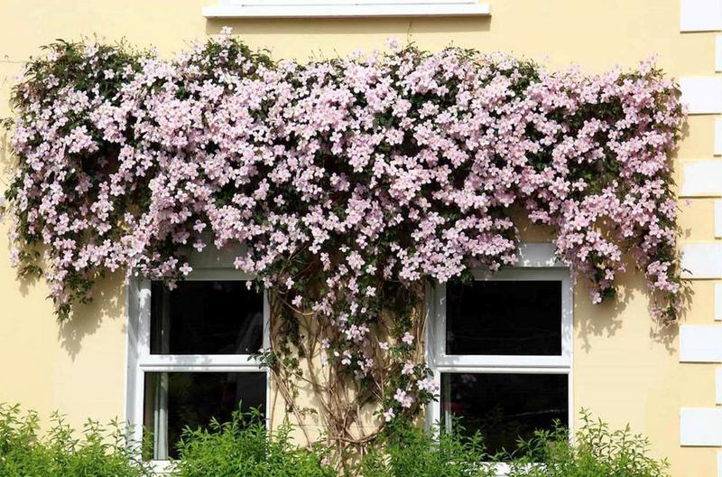 مبيت وإفطار Old Church House Kenmare