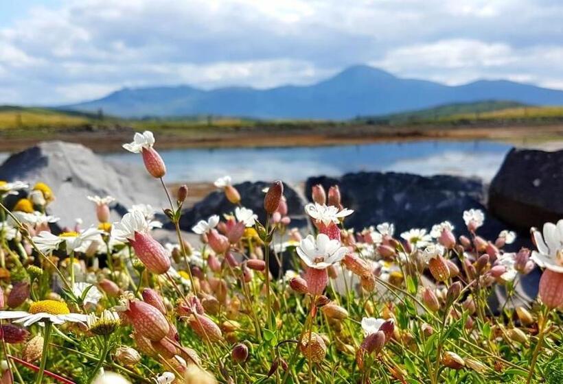 住宿加早餐 Seapoint House