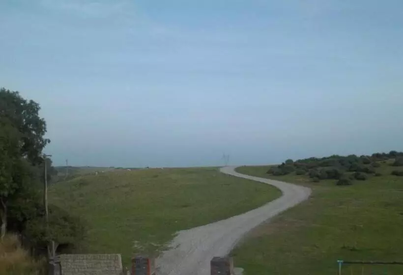 ベッドアンドブレックファースト The Curragh Country House Accommodation