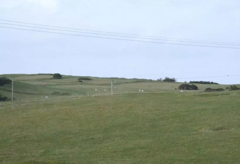 ベッドアンドブレックファースト The Curragh Country House Accommodation