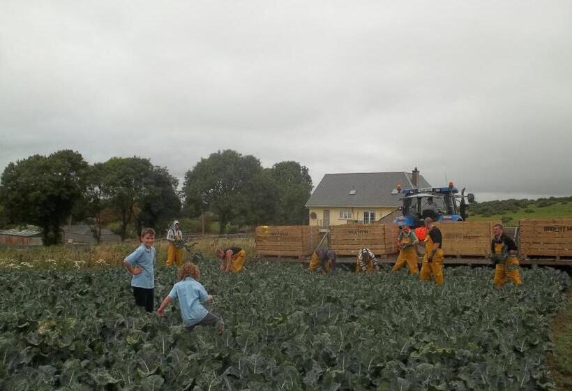 צימר The Curragh Country House Accommodation