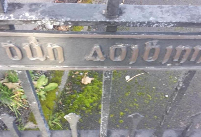 Bed and Breakfast Dun Aoibhinn Guest Accommodation