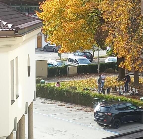 Отель Untermetzger