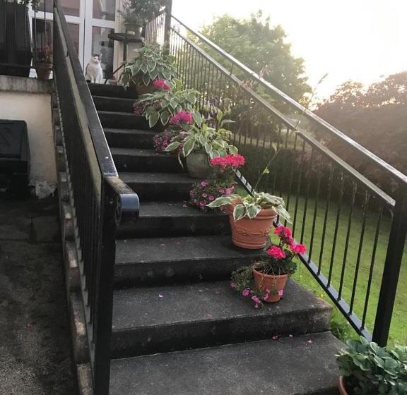 The Meadows Bed And Breakfast