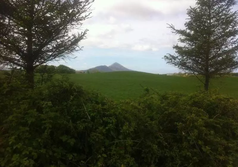 Aillmore Bed And Breakfast