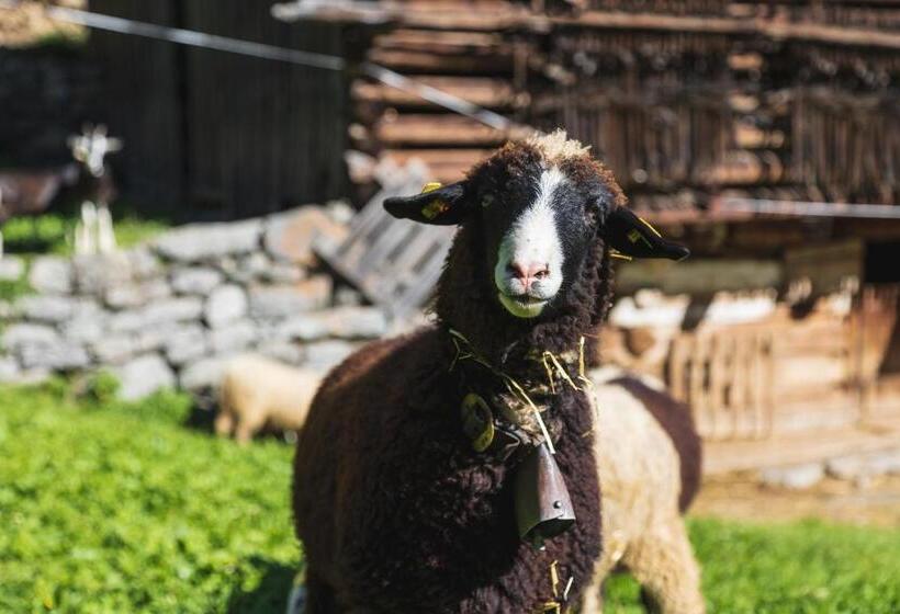 Alpenblick Apartments Montafon By A Appartments