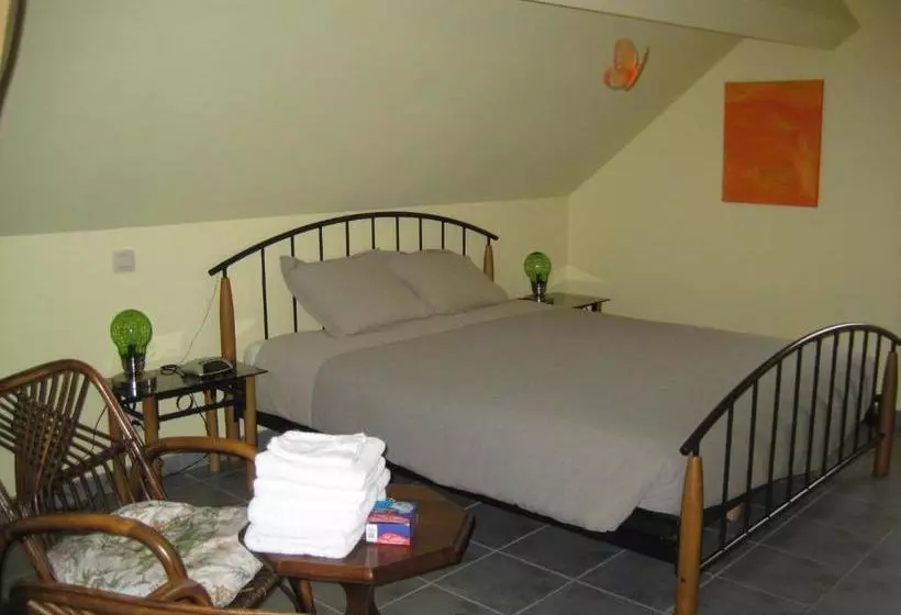 B&b Het Uilennest