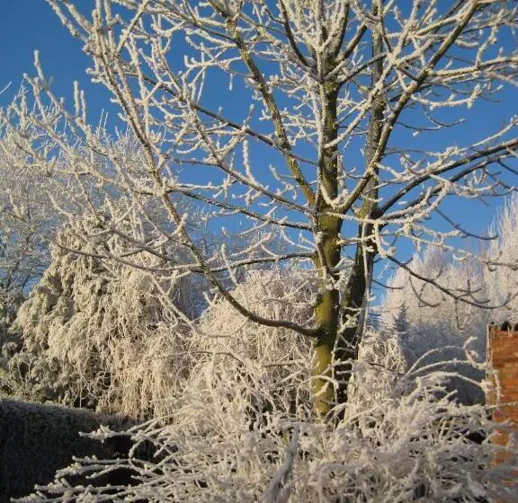 B&b Het Uilennest