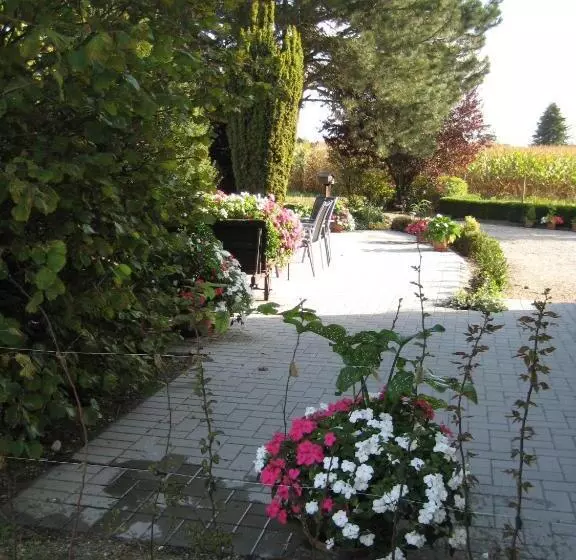 B&b Het Uilennest