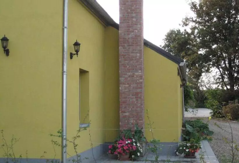 B&b Het Uilennest
