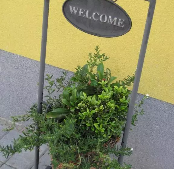 B&b Het Uilennest