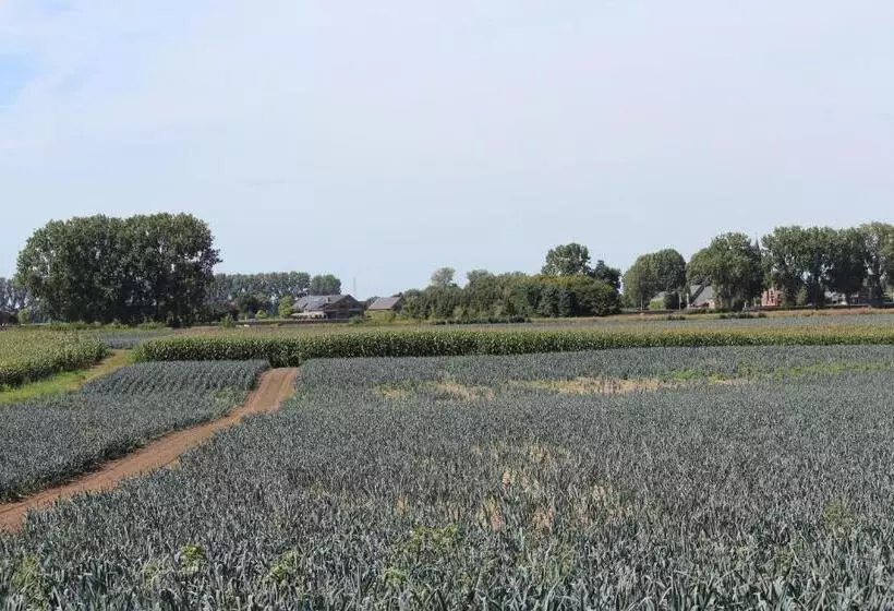 B&b 't Goedhof