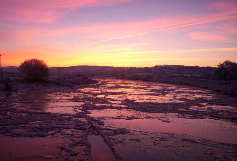 Castlemaine House B&b