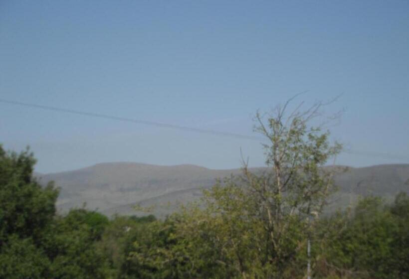 Castlemaine House B&b