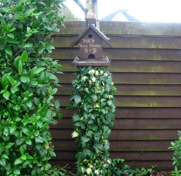 Clareville House B&b