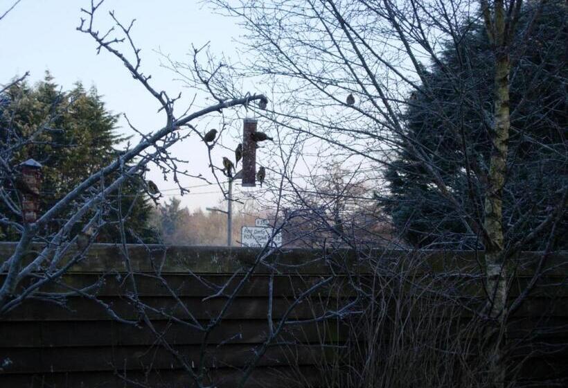 Clareville House B&b