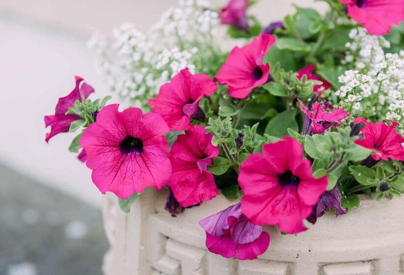 Clareville House B&b