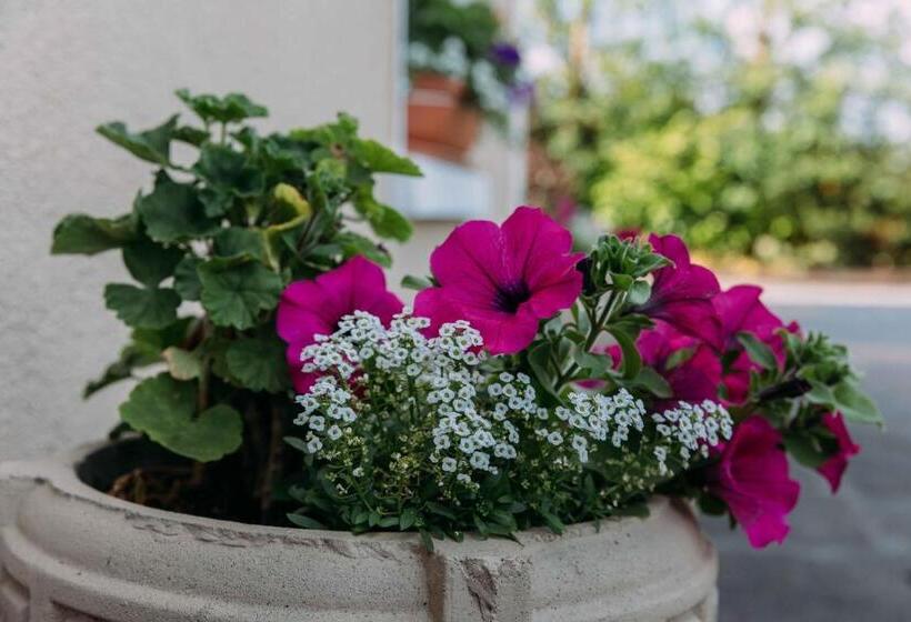 Clareville House B&b